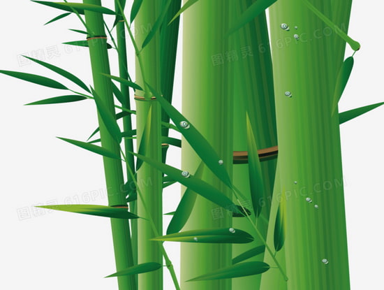 бамбуковый паркет